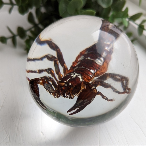 Scorpion in sphere - Picture 1 of 3
